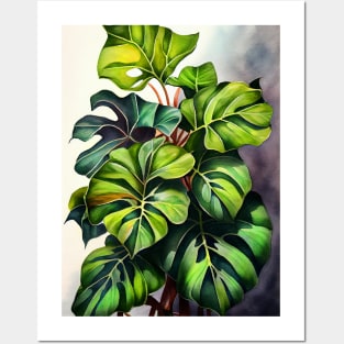 Philodendron plant art Posters and Art